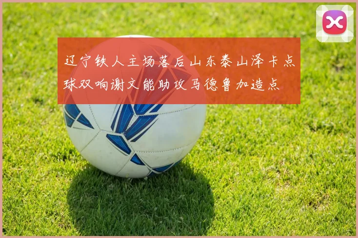 辽宁铁人主场落后山东泰山泽卡点球双响谢文能助攻马德鲁加造点